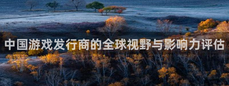 pp电子子文化是什么：中国游戏发行商的全球视野与影响力评估
