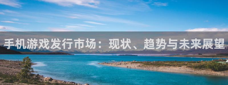 pp电子子的图片：手机游戏发行市场：现状、趋势与未来展望