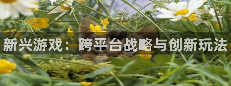 pp电子子最好看的小说：新兴游戏：跨平台战略与创新玩法