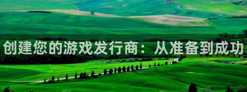 pp电子官网平台怎么样知乎：创建您的游戏发行商：从准备到成功