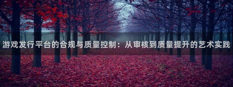 佛山pp电子电子商务：游戏发行平台的合规与质量控制：从审核到质量提升的艺术实践