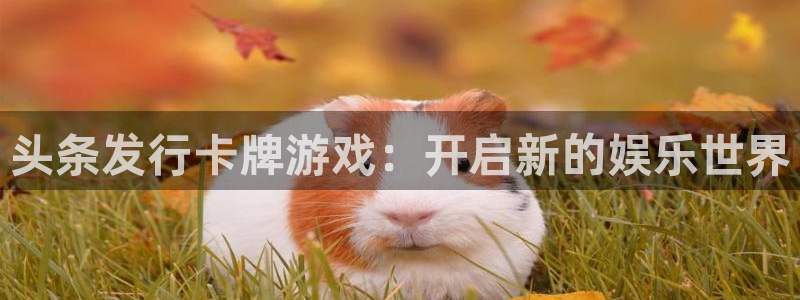 pp电子子公司怎么样：头条发行卡牌游戏：开启新的娱乐世界