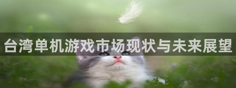 陕西pp电子子文化创意是干什么的：台湾单机游戏市场现状与未来展望