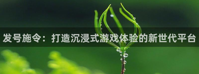 pp电子电子商务有限公司怎么样知乎：发号施令：打造沉浸式游戏体验的新世代平台