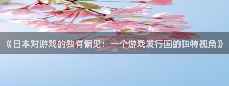 pp电子工坊：《日本对游戏的独有偏见：一个游戏发行国的独特视角》