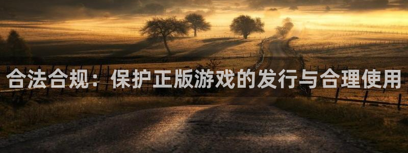 pp电子集团董事长刘一辰简历