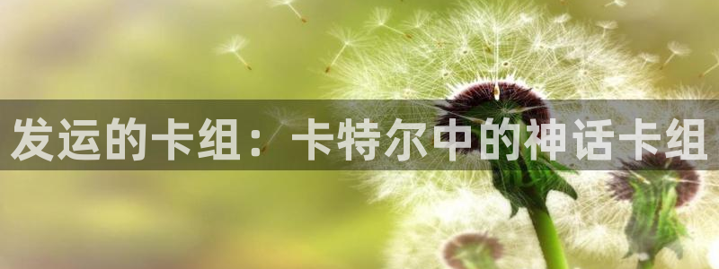 pp电子子经理人读后感：发运的卡组：卡特尔中的神话卡组