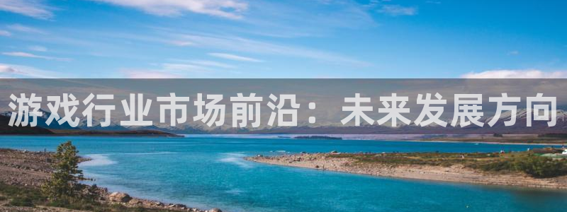 pp电子技术有限公司怎么样