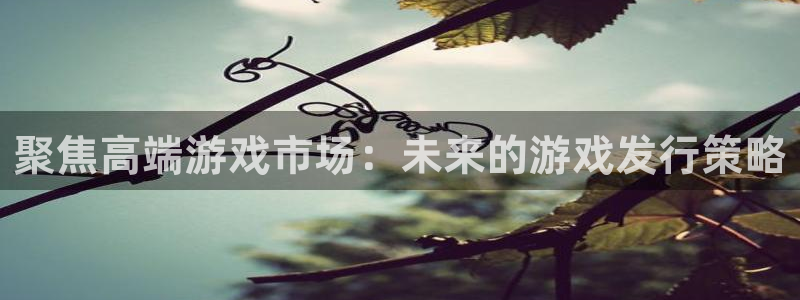 广州pp电子运动服