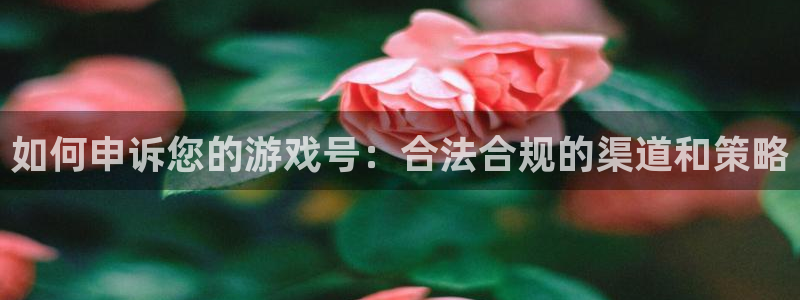 pp电子官网登录注册账号安全吗是真的吗：如何申诉您的游戏号：合法合规的渠道和策略