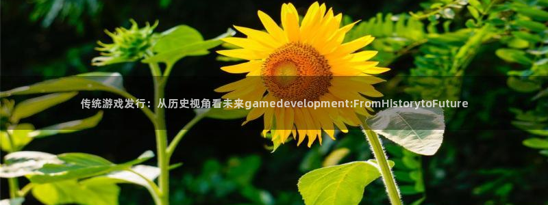 pp电子电商怎么样知乎：传统游戏发行：从历史视角看未来gamedevelopment:FromHistorytoFuture