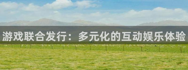 四川pp电子科技有限公司怎么样：游戏联合发行：多元化的互动娱乐体验