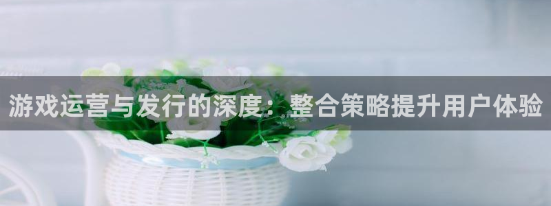 pp电子子文化创意有限公司特邀玩家：游戏运营与发行的深度：整合策略提升用户体验