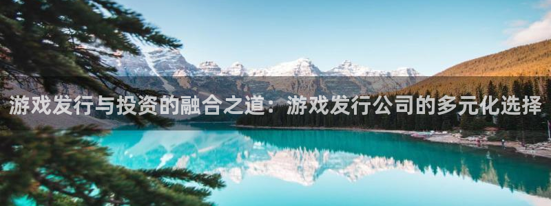 pp电子官网代理开号：游戏发行与投资的融合之道：游戏发行公司的多元化选择
