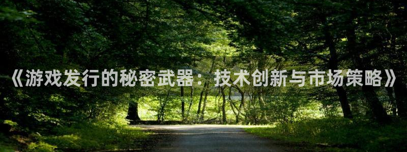 pp电子子出版社董事长：《游戏发行的秘密武器：技术创新与市场策略》