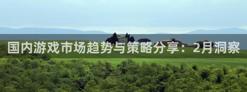pp电子集团：国内游戏市场趋势与策略分享：2月洞察