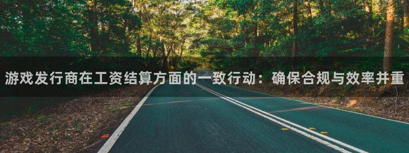 pp电子图片：游戏发行商在工资结算方面的一致行动：确保合规与效率并重