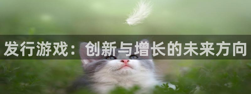 pp电子技术有限公司招聘